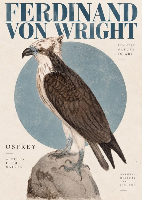 Ferdinand von Wright Osprey No4 - Juliste