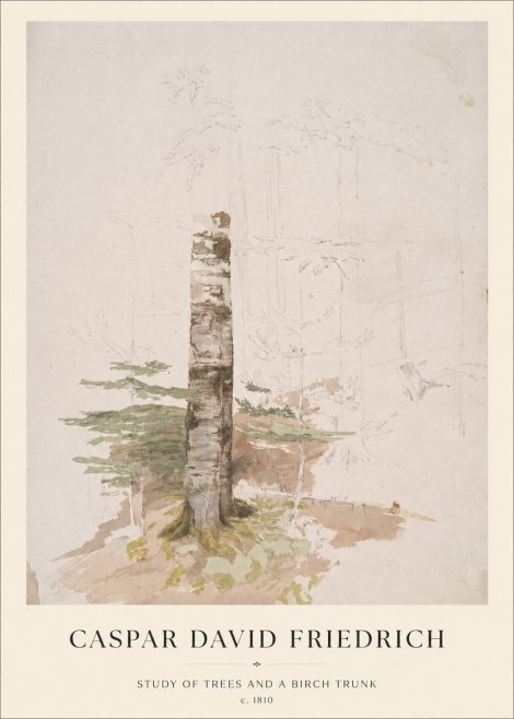 Caspar David Friedrich Study of Trees and a Birch Trunk No1 - Juliste