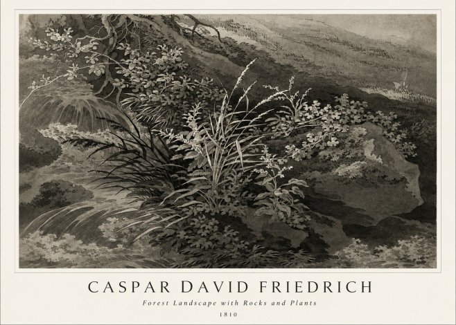 Caspar David Friedrich Forest Landscape with Rocks and Plants No1 - Juliste