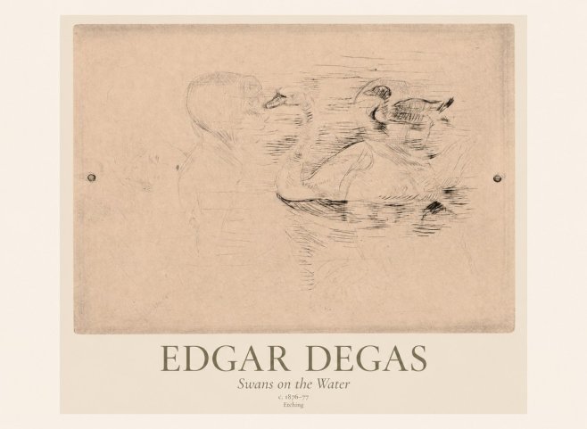 Edgar Degas Swans on the Water No1 - Juliste