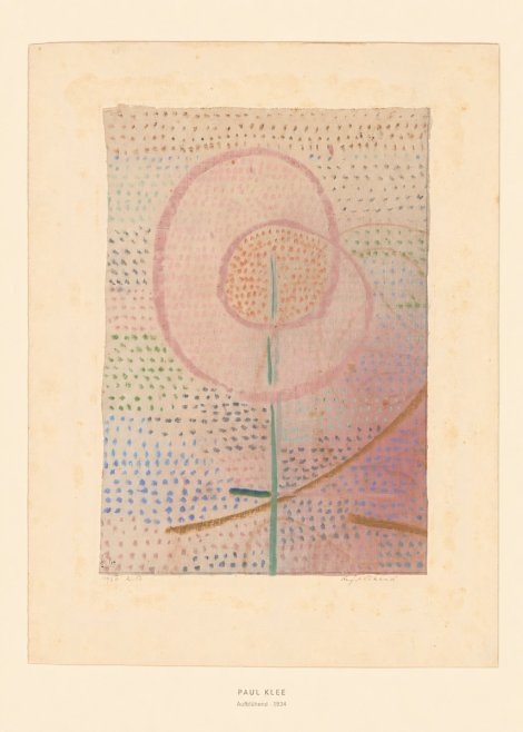 Paul Klee Aufblühend No5 - Juliste