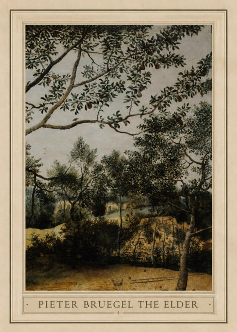Pieter Bruegel Branch of a Pear Tree No1 - Juliste