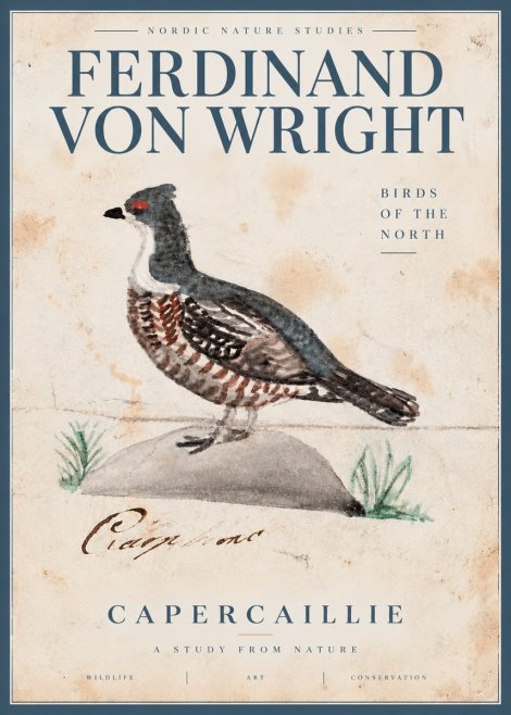 Ferdinand von Wright Grouse No5 - Juliste