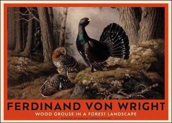 Ferdinand von Wright Wood Grouse in a Forest Landscape No2 - Juliste