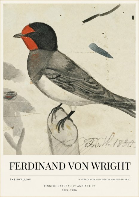 Ferdinand von Wright The Swallow No1 - Juliste