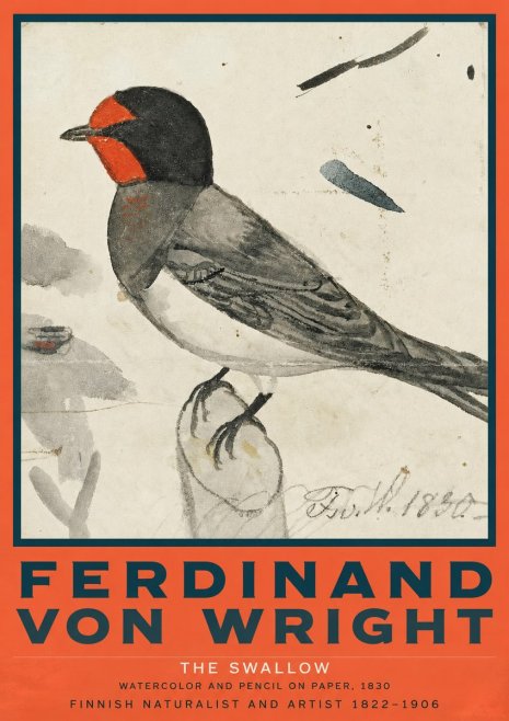 Ferdinand von Wright The Swallow No2 - Juliste
