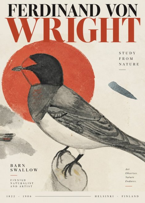 Ferdinand von Wright The Swallow No4 - Juliste