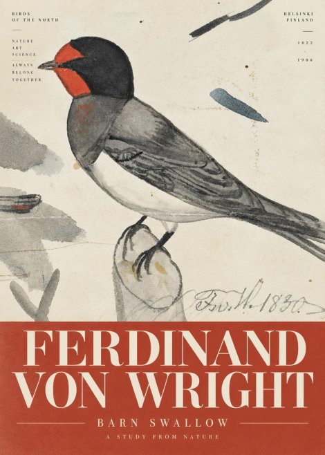 Ferdinand von Wright The Swallow No6 - Juliste