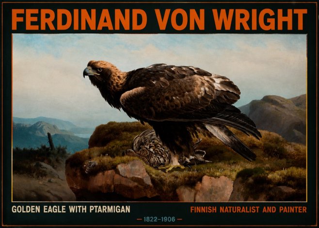 Ferdinand von Wright Golden Eagle with Ptarmigan No2 - Juliste