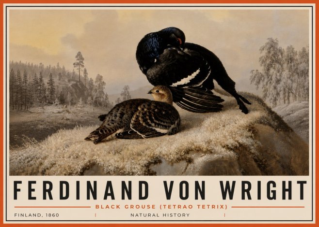 Ferdinand von Wright Black Grouse (Tetrao Tetrix) No6 - Juliste