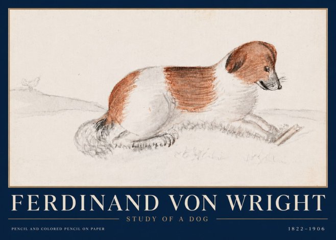 Ferdinand von Wright Study of a Dog No4 - Juliste