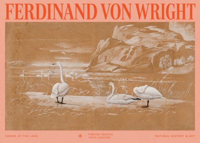 Ferdinand von Wright Swans at the Lake No2 - Juliste
