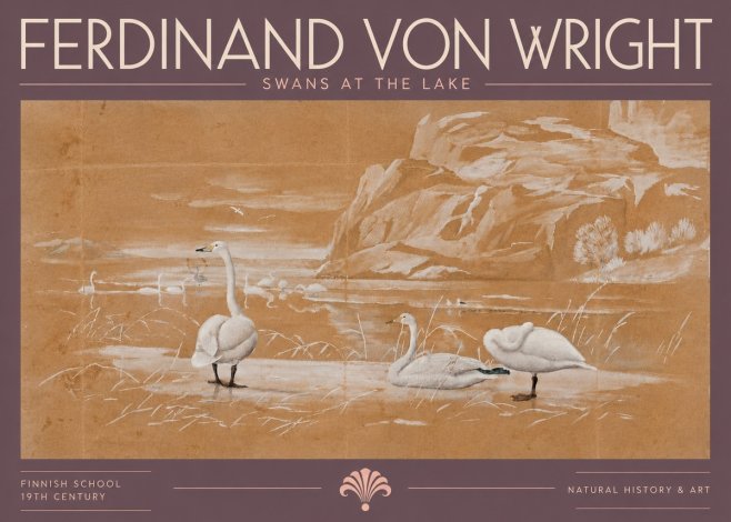 Ferdinand von Wright Swans at the Lake No5 - Juliste