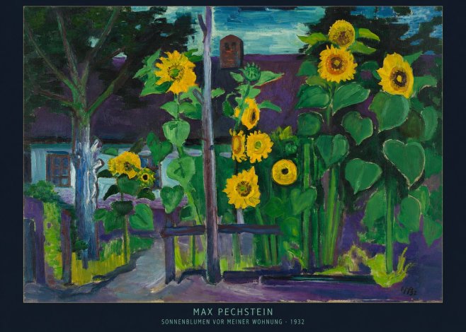 Max Pechstein Sonnenblumen Vor Meiner Wohnung No6 - Juliste