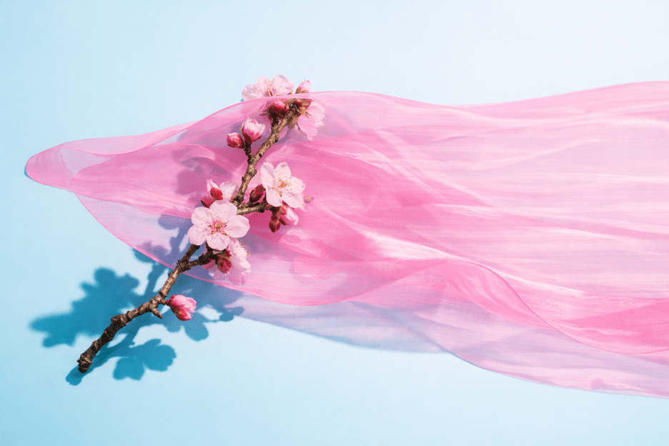 Cherry Blossom Drift