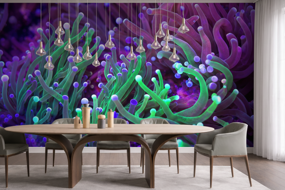 Anemone Symphony