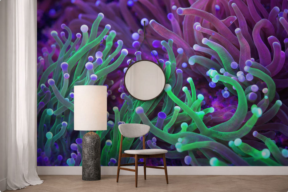 Anemone Symphony