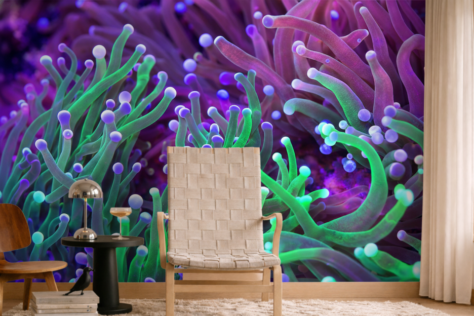 Anemone Symphony