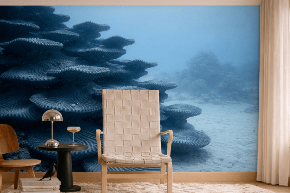 Harbor Shells
