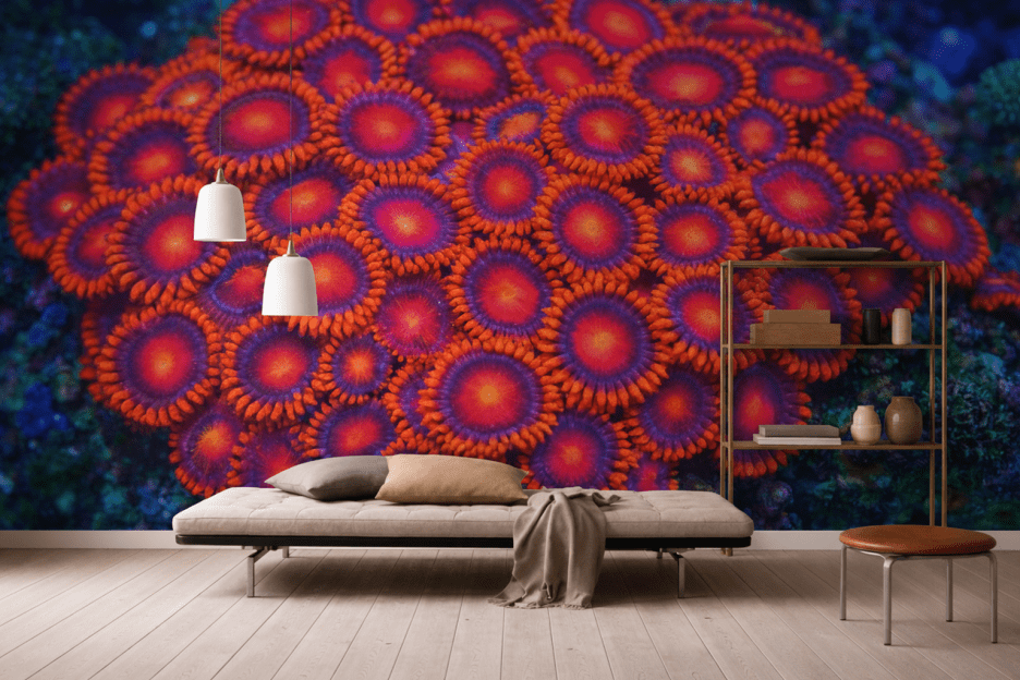 Rippled Coral Cluster