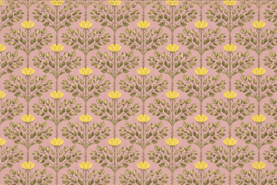 Sunlit Terracotta