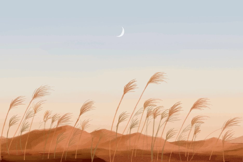 Wheatfield Mirage