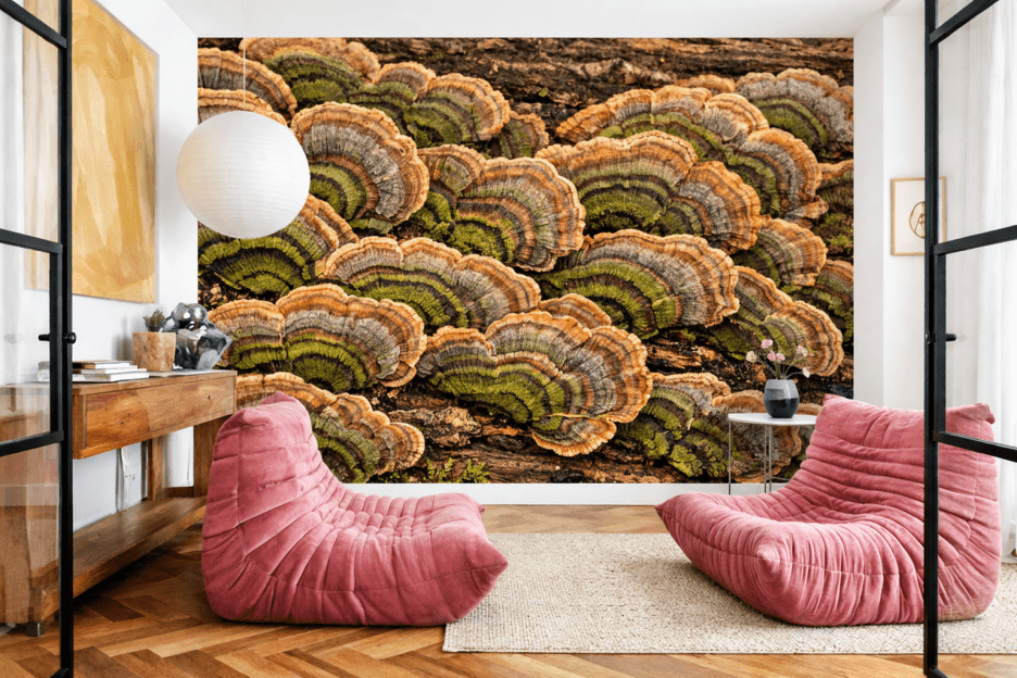 Mushroom Palette