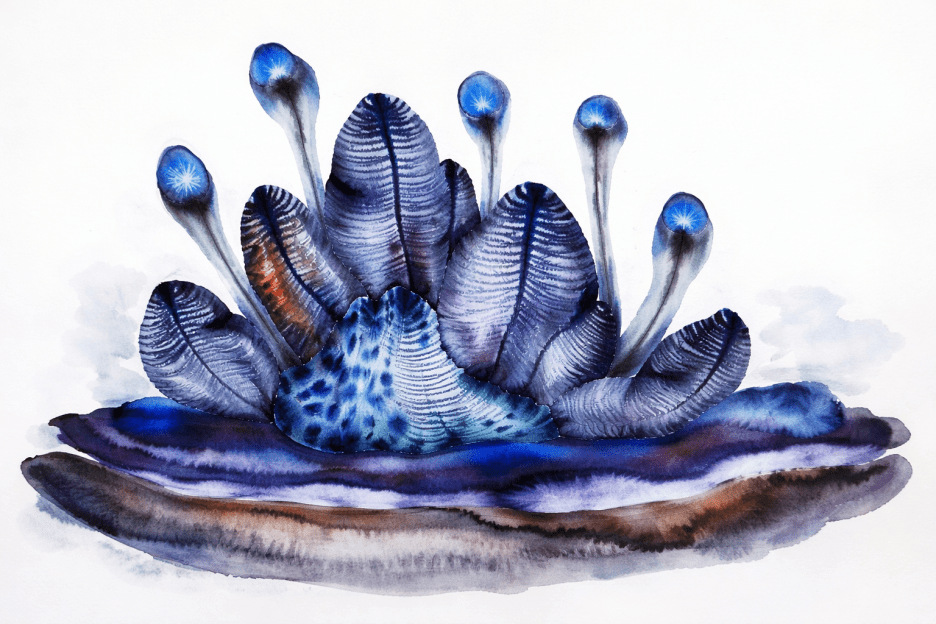 Oceanic Flora