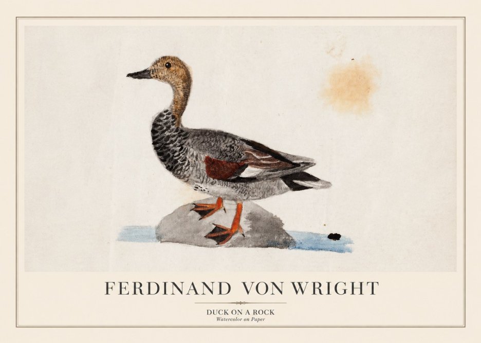 Ferdinand von Wright Duck on a Rock No1 - Juliste