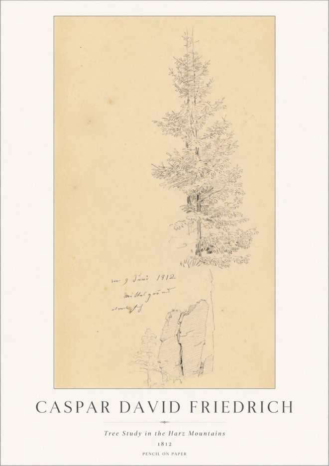 Caspar David Friedrich Tree Study in the Harz Mountains No1 - Juliste