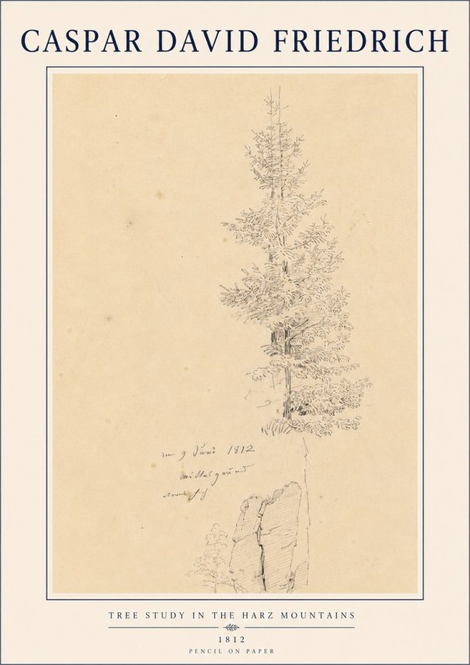 Caspar David Friedrich Tree Study in the Harz Mountains No4 - Juliste