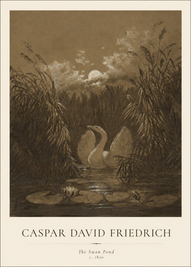 Caspar David Friedrich The Swan Pond No1 - Juliste