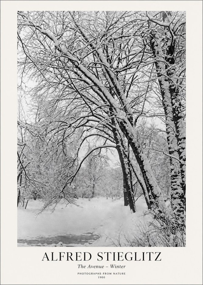 Alfred Stieglitz The Avenue – Winter No1 - Juliste