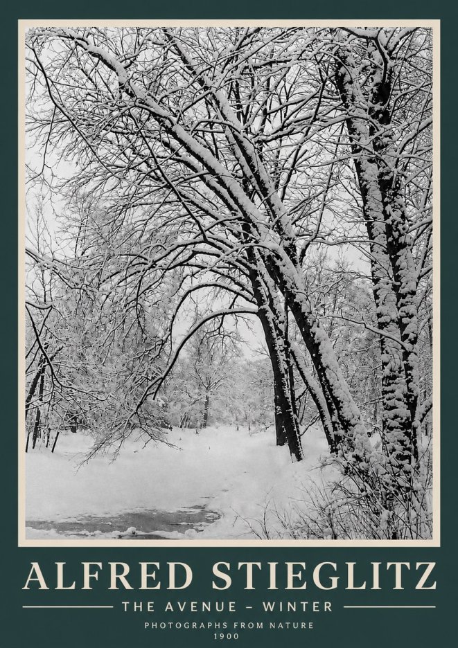 Alfred Stieglitz The Avenue – Winter No3 - Juliste