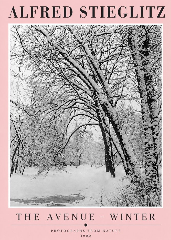 Alfred Stieglitz The Avenue – Winter No4 - Juliste
