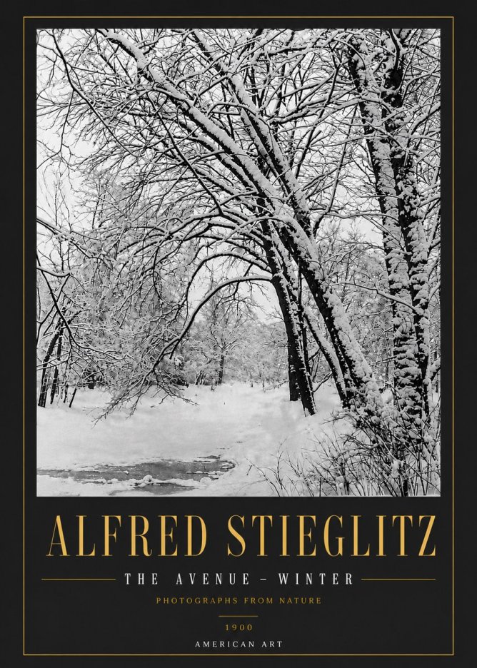 Alfred Stieglitz The Avenue – Winter No6 - Juliste