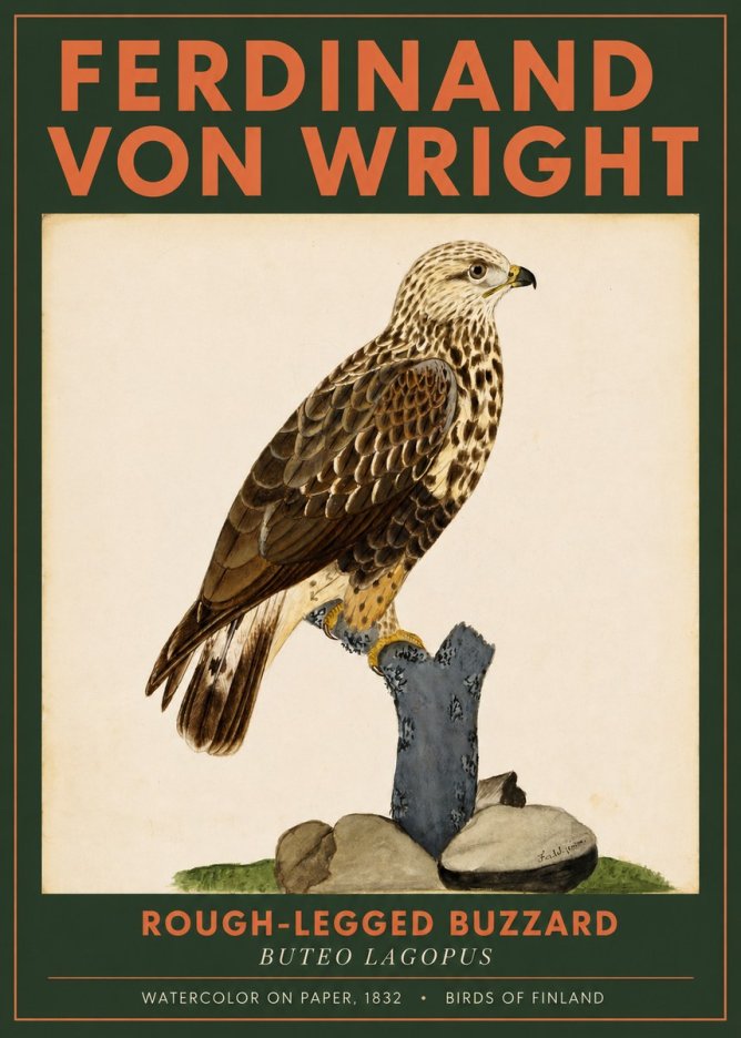Ferdinand von Wright Rough-legged Buzzard No2 - Juliste