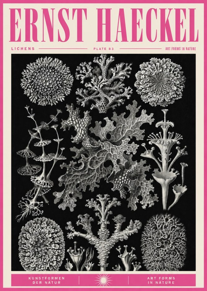 Ernst Haeckel Lichens - Plate 83 No5 - Juliste