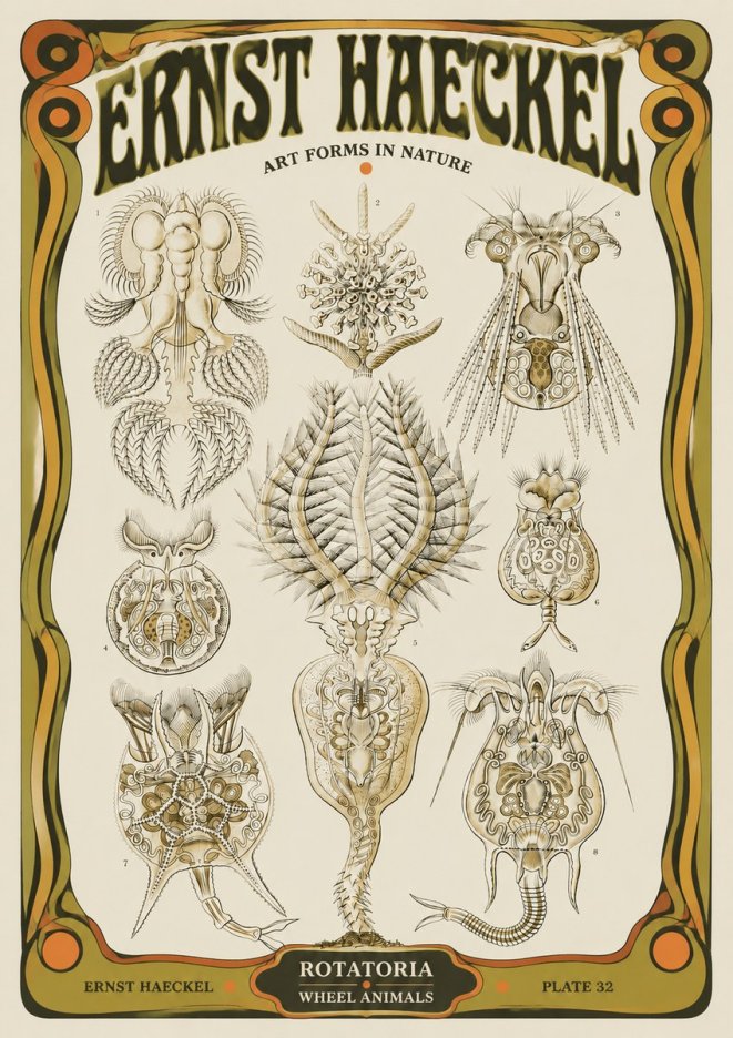 Ernst Haeckel Rotatoria - Wheel Animals No5 - Juliste