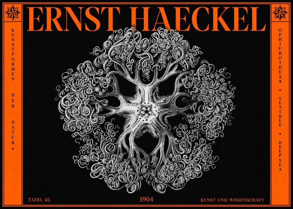 Ernst Haeckel Ophiuroidea Sea Tree - Deep Sea No2 - Juliste