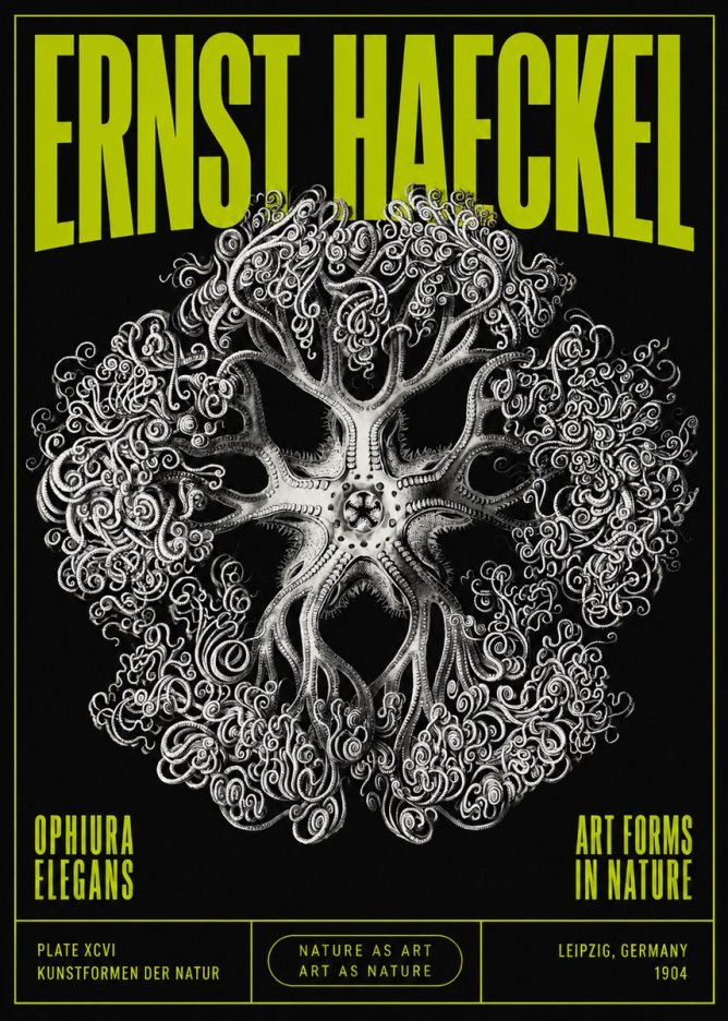 Ernst Haeckel Ophiuroidea Sea Tree - Deep Sea No5 - Juliste