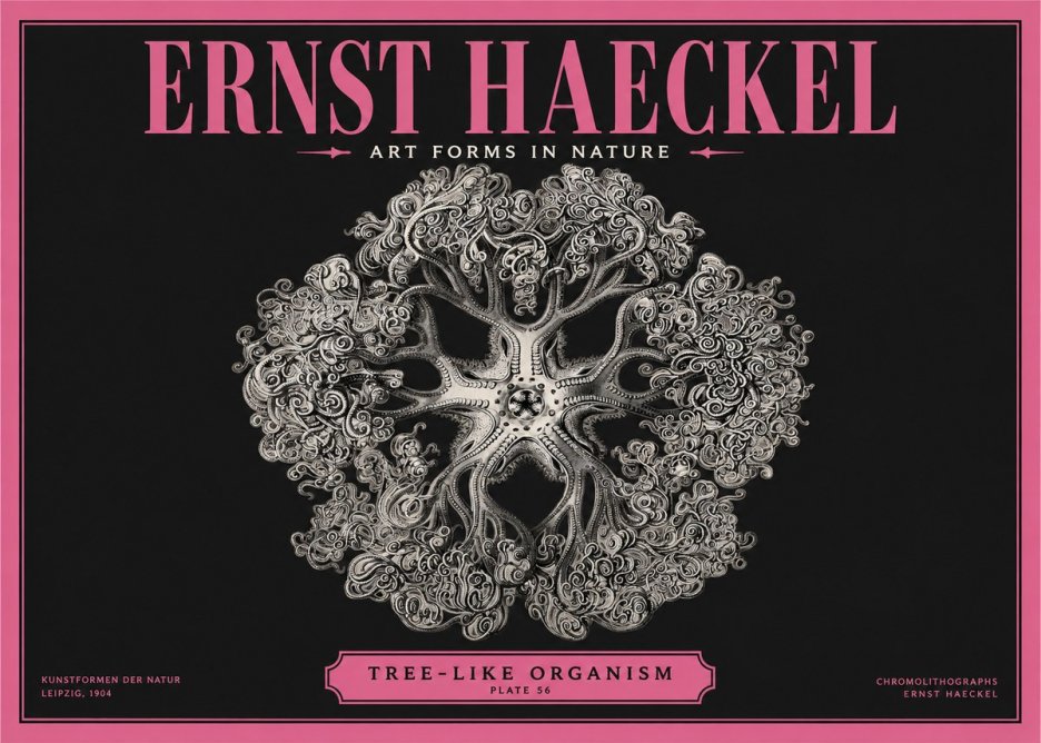 Ernst Haeckel Tree-like Organism No2 - Juliste