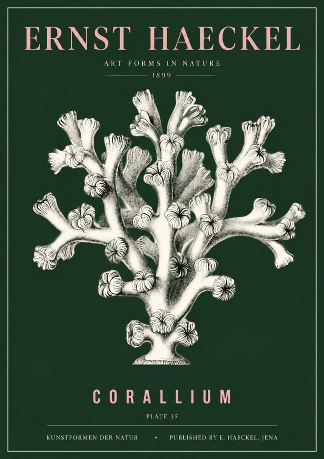 Ernst Haeckel Corallium Rubrum II No5 - Juliste