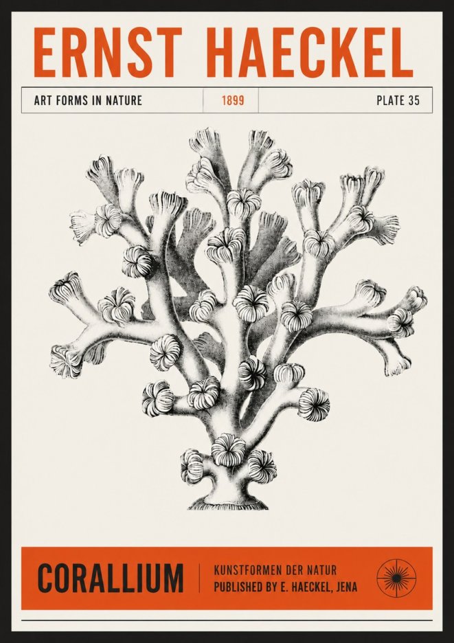 Ernst Haeckel Corallium Rubrum II No6 - Juliste