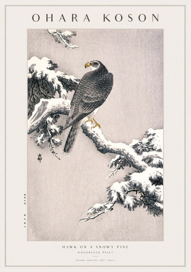 Ohara Koson Hawk on a Snowy Pine No1 - Juliste