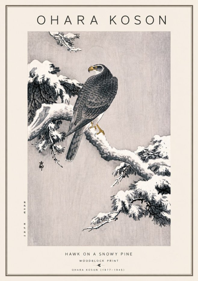 Ohara Koson Hawk on a Snowy Pine No5 - Juliste