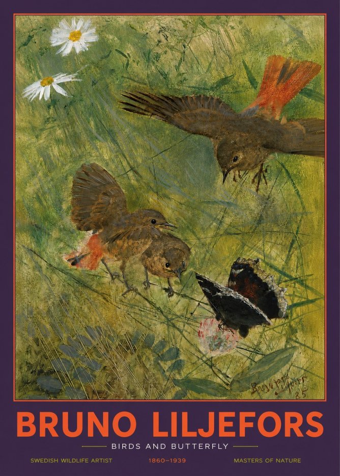 Bruno Liljefors Birds and Butterfly No2 - Juliste