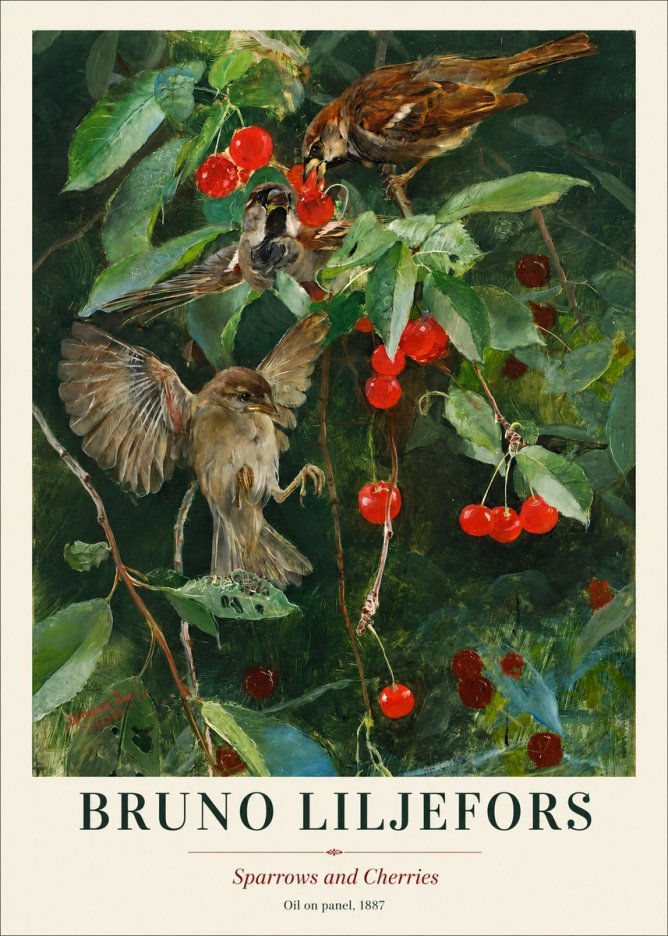 Bruno Liljefors Sparrows and Cherries No1 - Juliste