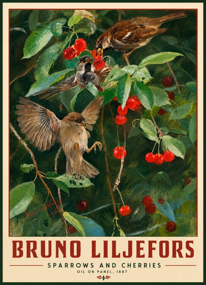 Bruno Liljefors Sparrows and Cherries No2 - Juliste