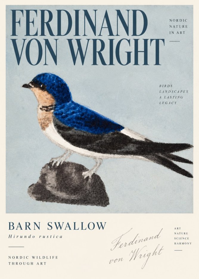 Ferdinand von Wright Swallow (Hirundo Rustica) No4 - Juliste